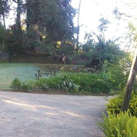 נוארה אליה Park View Guest House מראה חיצוני תמונה