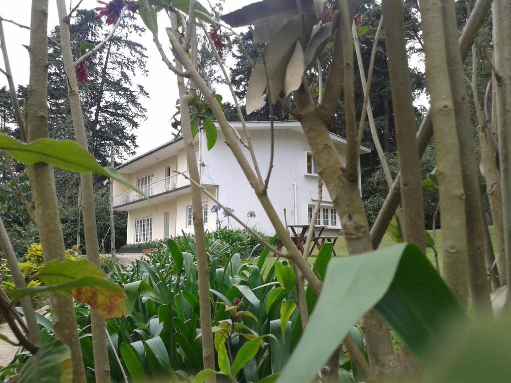 נוארה אליה Park View Guest House מראה חיצוני תמונה